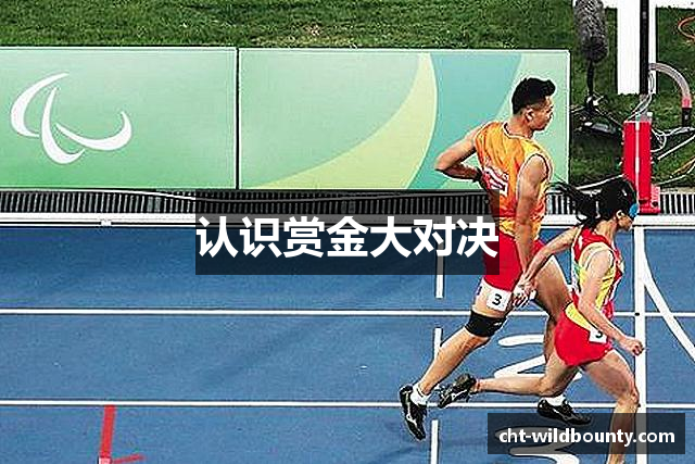 认识赏金大对决